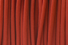 Red Chili - MT013596