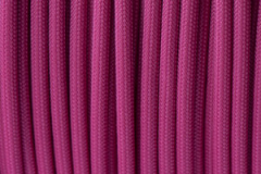 Fuchsia - MT010189